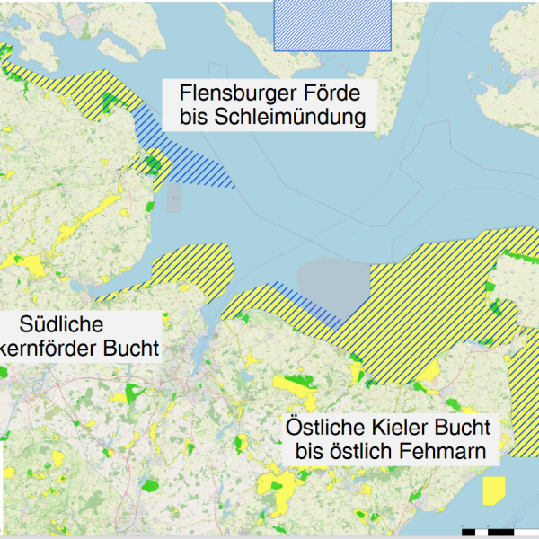 Der Ostsee geht es schlecht! Blogbeitrag zum Nationalpark Ostsee › Jusos SH